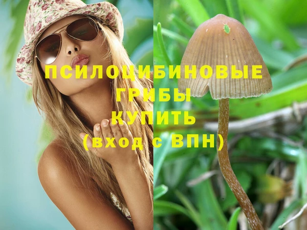 круглые Осинники
