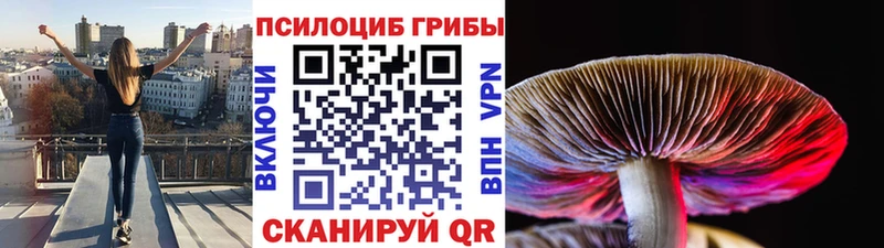 Галлюциногенные грибы прущие грибы Купить где Тотьма